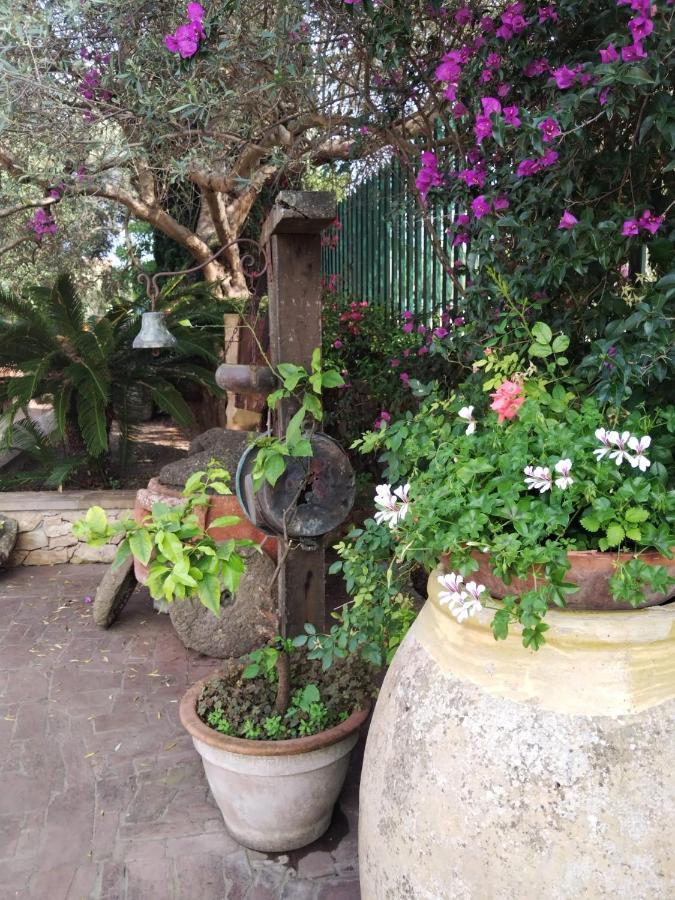 Il Casale Del Cortonese Apartamento Sássari Exterior foto